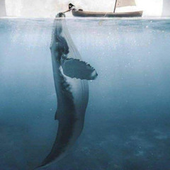 DeepFeeling