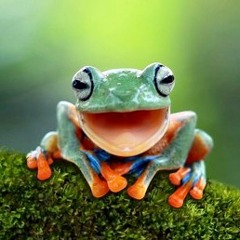 Jackatek - Funny Frog