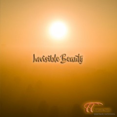 Invisible Beauty
