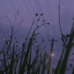 Loneliness Notes