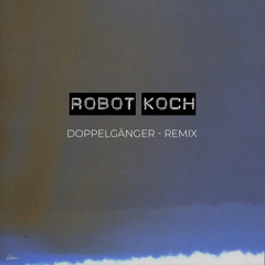 Doppelgänger (Robot Koch Remix)