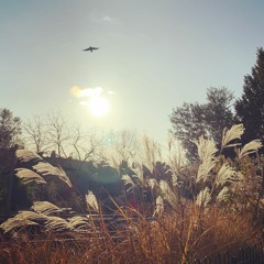 Let The Sun Come Out - Michael Brown And Robbie Boyd (acoustic demo 040419)