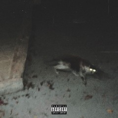 Gata de Noche (Prod By miguelachuuu)