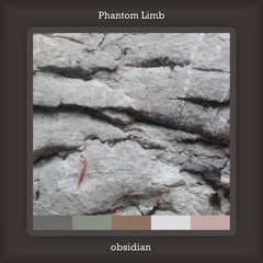 Phantom Limb - Obsidian (Original Mix)