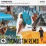 Tungevaag - Make You Happy (ThomasTim Remix)
