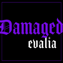 Damaged (DJ Evalia Edit)