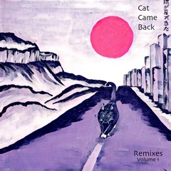Remixes - Volume 1