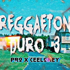 Reggaeton Duro 3