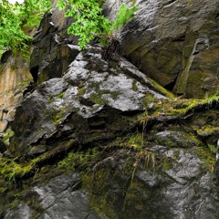 Chapter the Flow - Jammin Storys