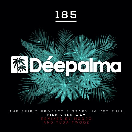 The Spirit Project & Starving Yet Full - Find Your Way (Moojo Remix)