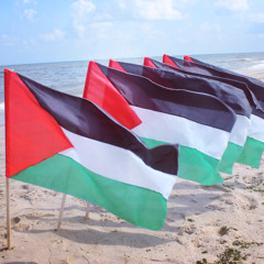 Mohammad Assaf - Bahrek Gaza محمد عساف - بحرك غزة