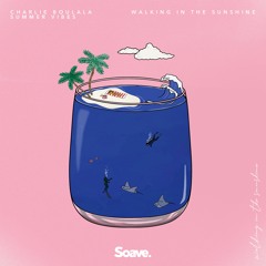 Charlie Boulala & Summer Vibes - Walking In The Sunshine