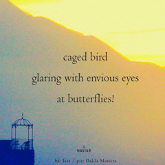 caged bird [naviarhaiku594]