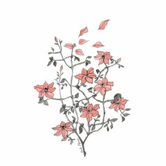 lòng còn mưa