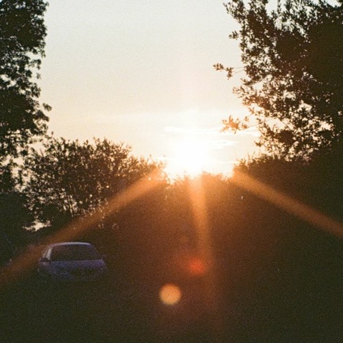 Excelsior Ruth - sunrise field rework August 2023