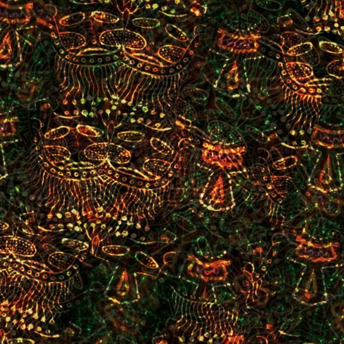 Migration - Mystique Wind | EnigmaCurry