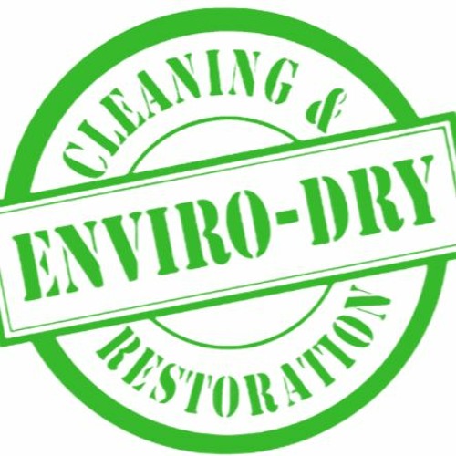 Need Mold Remediation in Creighton, Missouri?