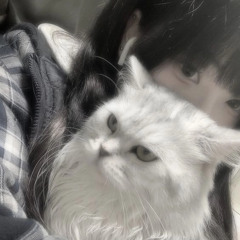 puff