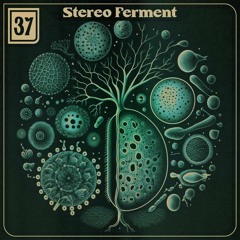 Coy Haste Presents - Stereo Ferment Episode 37