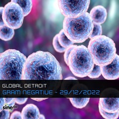 Gram Negative - 29/12/2022