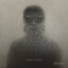 Duše v mlze