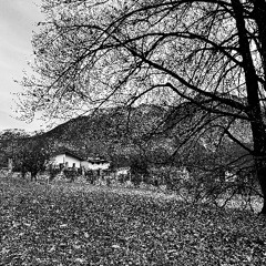 #117 #podcast #SetMix #VincentGroove #October&November #2025 #repress