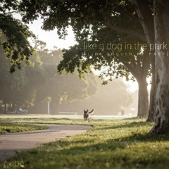 Dog in the Park (Life should be Easy)