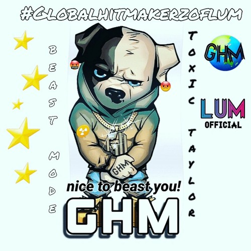 GHM CHASING CHECKS) TOXIC TAYLOR