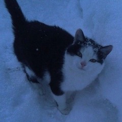 Видеть цветные сны