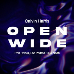 Calvin Harris - Open Wide (feat. Big Sean) (Rob Rivera, Los Padres & DJ Nach Afro Remix)