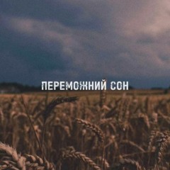 Zhenykk - Переможний сон