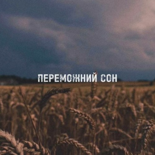 Zhenykk - Переможний сон