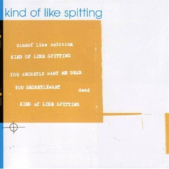 Kind of Like Spitting - Do You Need Him Here to Say (Elsa)