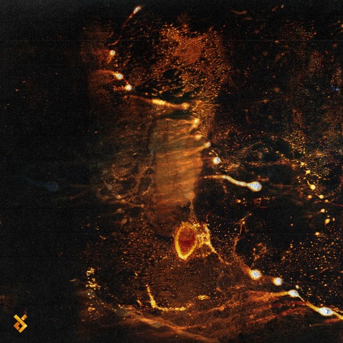 Arutani - Diffusion