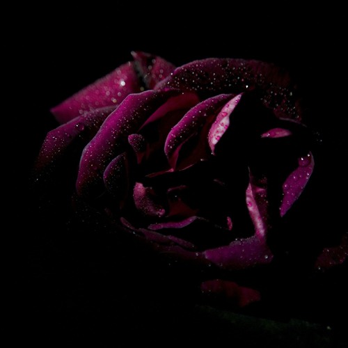 Chris Grey - Death Won't Do Us Part - with Ari Abdul (sped up)