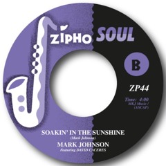MARK JOHNSON - SOAKIN' IN THE SUNSHINE