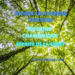 Attirer Les Énergies Positives  - Les Esprits De La Forêt - Musique Chamanique