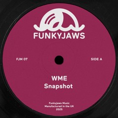 PREMIERE: Funkyjaws - Snapshot [Funkyjaws Music]