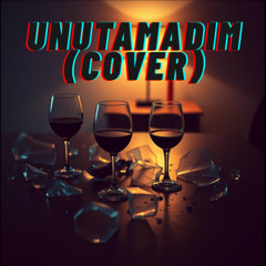 Unutamadım (Kaç Kadeh Kırıldı)  (Cover Remix)