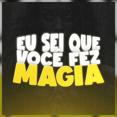 REMIX - EU SEI QUE VOCÊ FEZ MAGIA - DJ TAVIN SJ