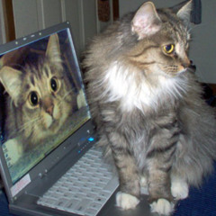 dont mean a thing (glitbe)