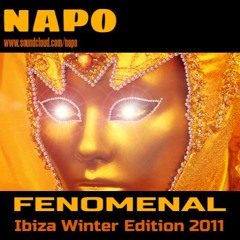 Fenomenal - Ibiza Winter Edition 2011 - 301111