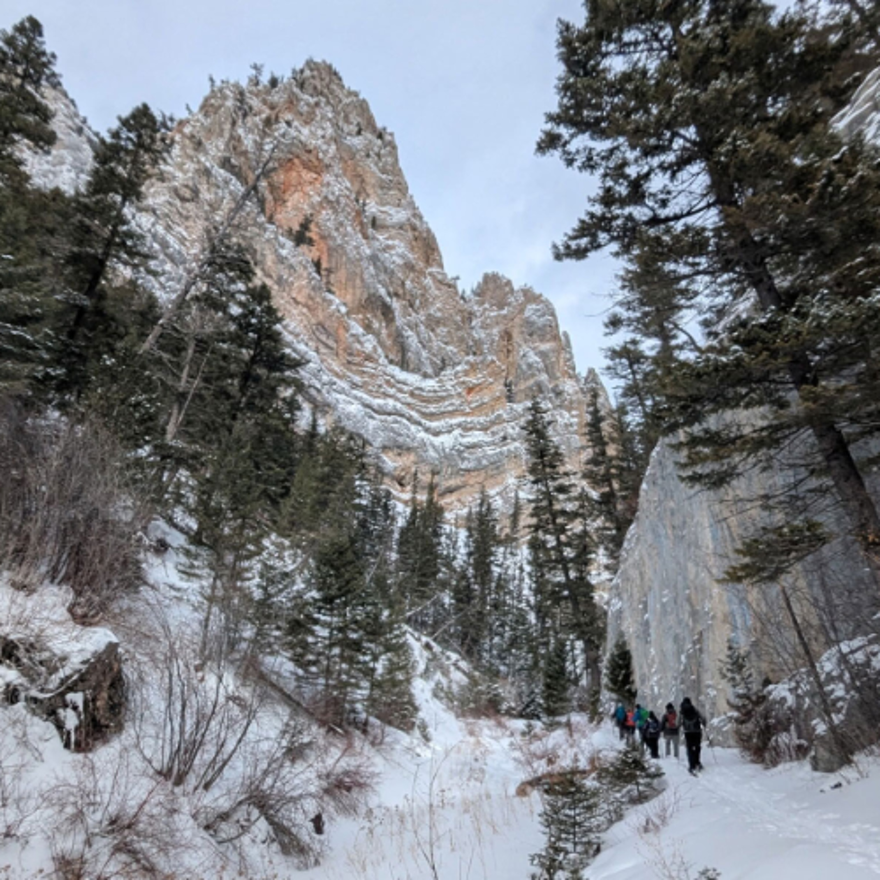 Trout Creek Canyon episode artwork