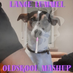 Oldskool Mashup - Lange Lummel