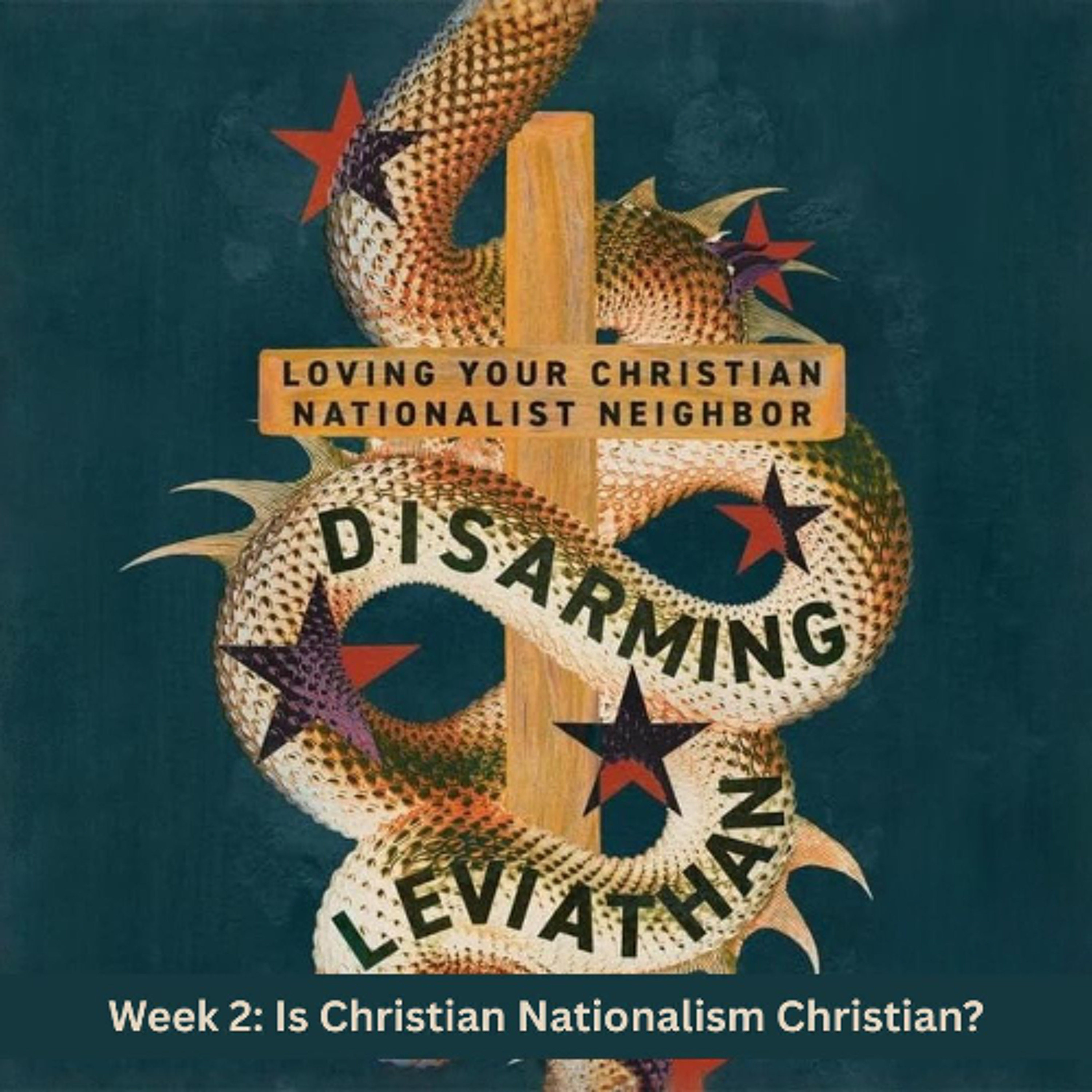 Disarming Leviathan | Is Christian Nationalism Christian? episode artwork