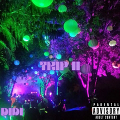 TRIP II