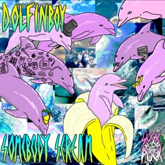 Dolfinboy - Somebody Scream - 01 Somebody Scream