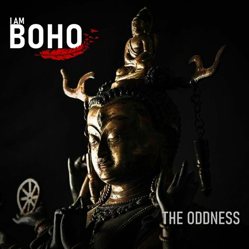 𝗜 𝗔𝗠 𝗕𝗢𝗛𝗢 by THE ODDNESS