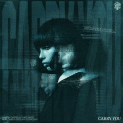 Martin Garrix & Third ≡ Party - Carry You (Z84 Remix)