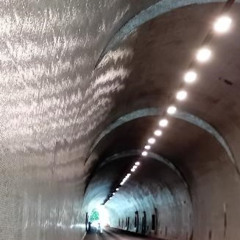 Testament To The Living